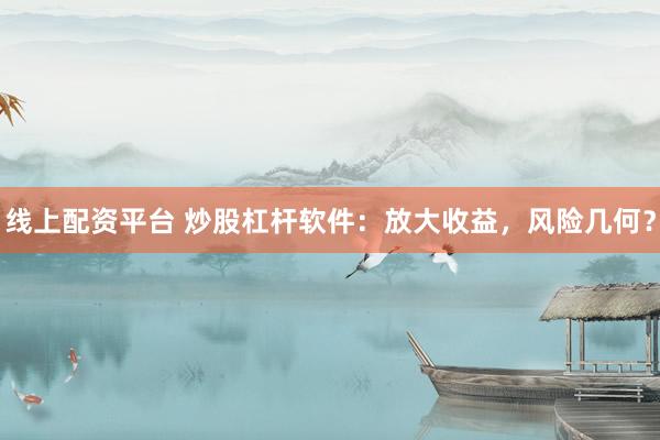 线上配资平台 炒股杠杆软件：放大收益，风险几何？