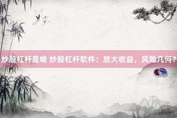 炒股杠杆是啥 炒股杠杆软件：放大收益，风险几何？