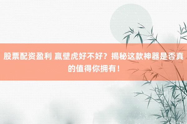 股票配资盈利 赢壁虎好不好？揭秘这款神器是否真的值得你拥有！