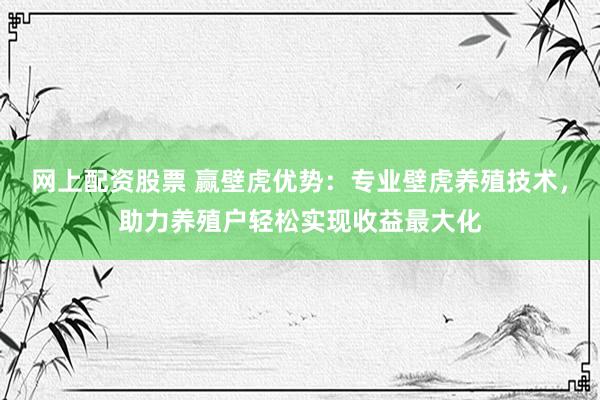 网上配资股票 赢壁虎优势：专业壁虎养殖技术，助力养殖户轻松实现收益最大化