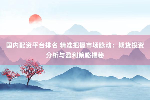 国内配资平台排名 精准把握市场脉动：期货投资分析与盈利策略揭秘