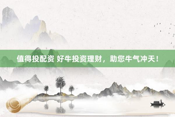 值得投配资 好牛投资理财，助您牛气冲天！