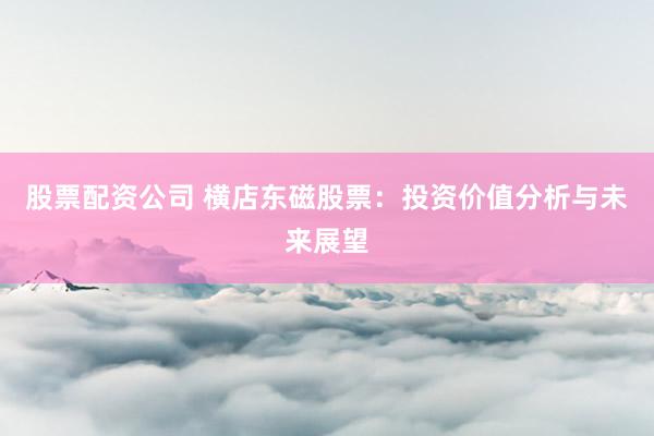 股票配资公司 横店东磁股票：投资价值分析与未来展望
