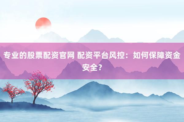 专业的股票配资官网 配资平台风控：如何保障资金安全？