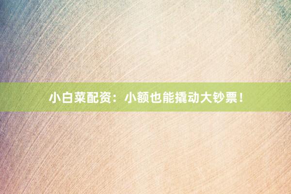 小白菜配资：小额也能撬动大钞票！