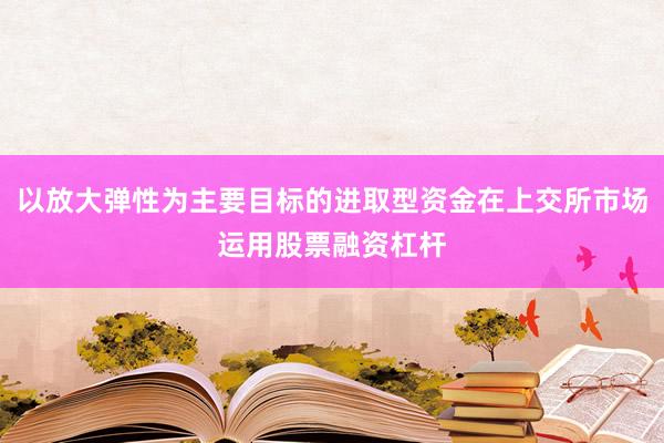 以放大弹性为主要目标的进取型资金在上交所市场运用股票融资杠杆