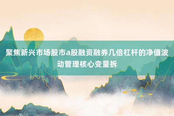 聚焦新兴市场股市a股融资融券几倍杠杆的净值波动管理核心变量拆