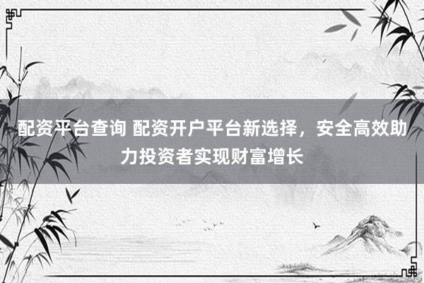 配资平台查询 配资开户平台新选择,安全高效助力投资者实现财富增长