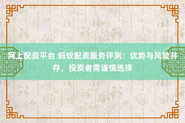 网上配资平台 蚂蚁配资服务评测：优势与风险并存，投资者需谨慎选择