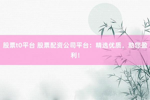股票t0平台 股票配资公司平台：精选优质，助您盈利！