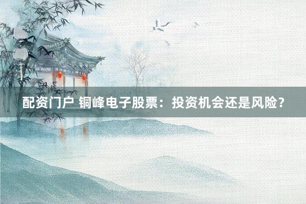 配资门户 铜峰电子股票：投资机会还是风险？