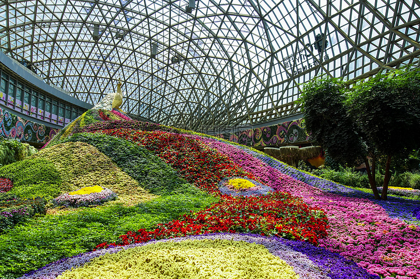 亚洲最大花卉温室高清图片下载-正版图片500909035